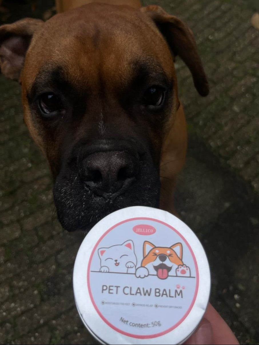 Healthy Paw Comfort Balm